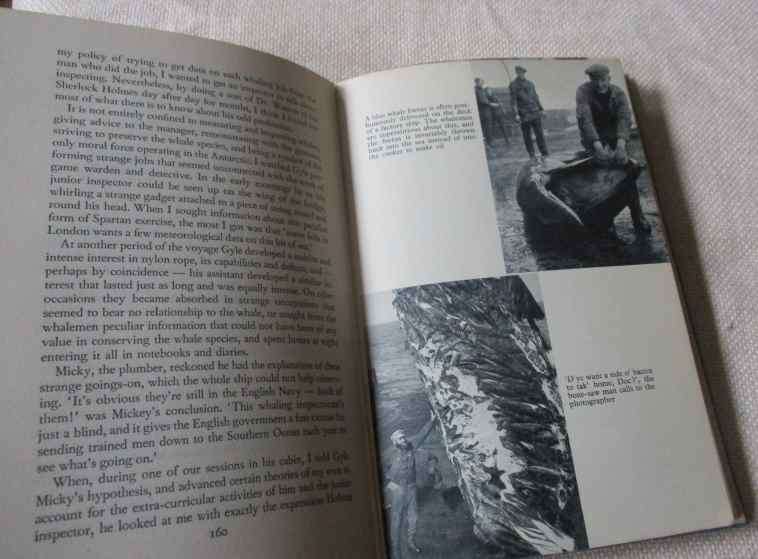 OF WHALES AND MEN - R.B. ROBERTSON