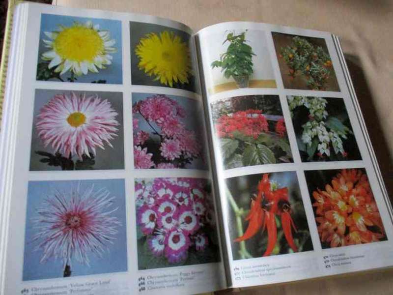 THE COLOUR DICTIONARY OF GARDEN PLANTS - WITH HOUSE AND GREENHOUSE PLANTS - ROYAL HORTICULTURE SOC.