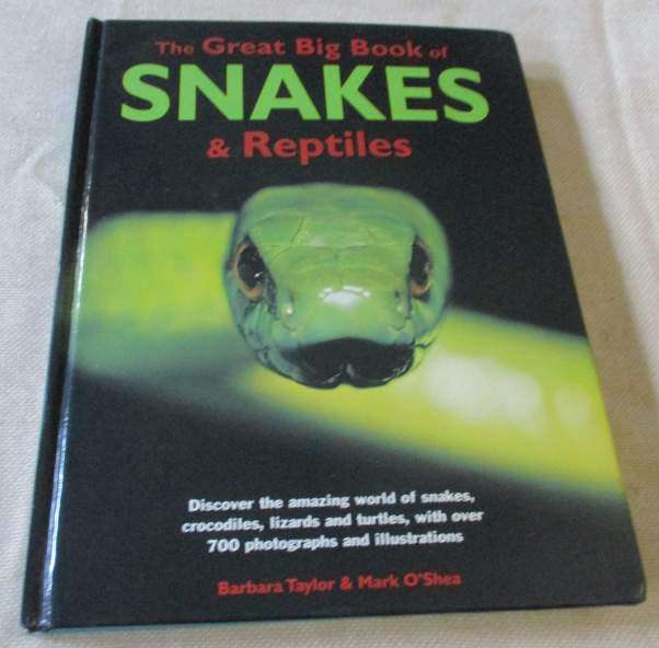 THE GREAT BIG BOOK OF SNAKES & REPTILES - BARBARA TAYLOR & MARK O`SHEA