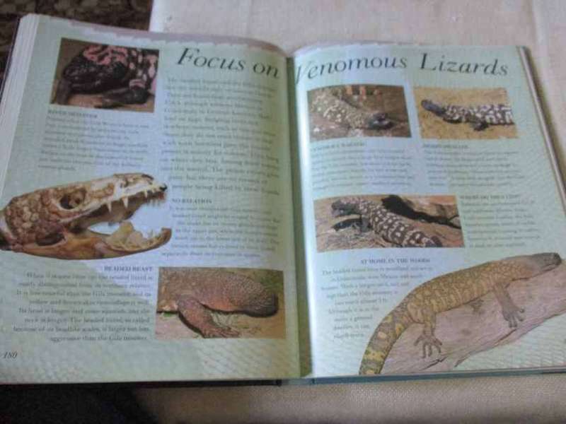 THE GREAT BIG BOOK OF SNAKES & REPTILES - BARBARA TAYLOR & MARK O`SHEA