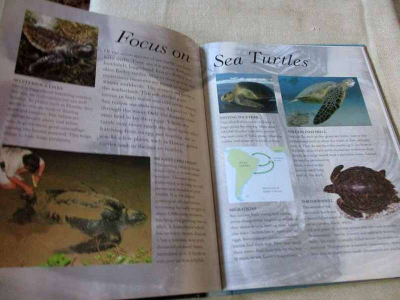 THE GREAT BIG BOOK OF SNAKES & REPTILES - BARBARA TAYLOR & MARK O`SHEA