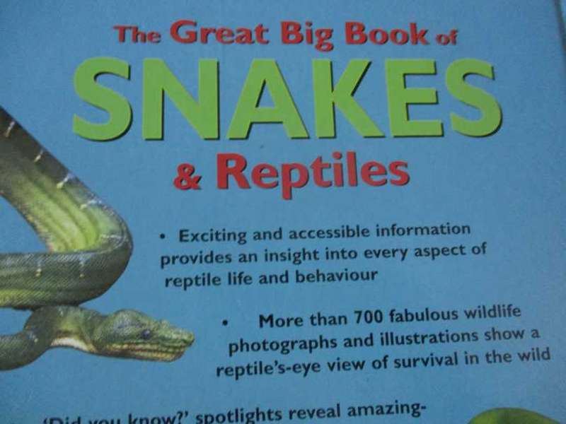 THE GREAT BIG BOOK OF SNAKES & REPTILES - BARBARA TAYLOR & MARK O`SHEA