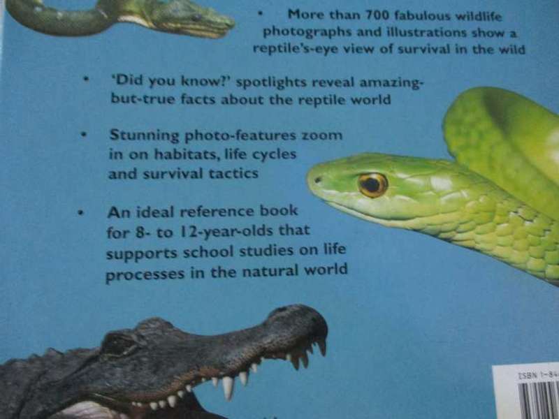 THE GREAT BIG BOOK OF SNAKES & REPTILES - BARBARA TAYLOR & MARK O`SHEA