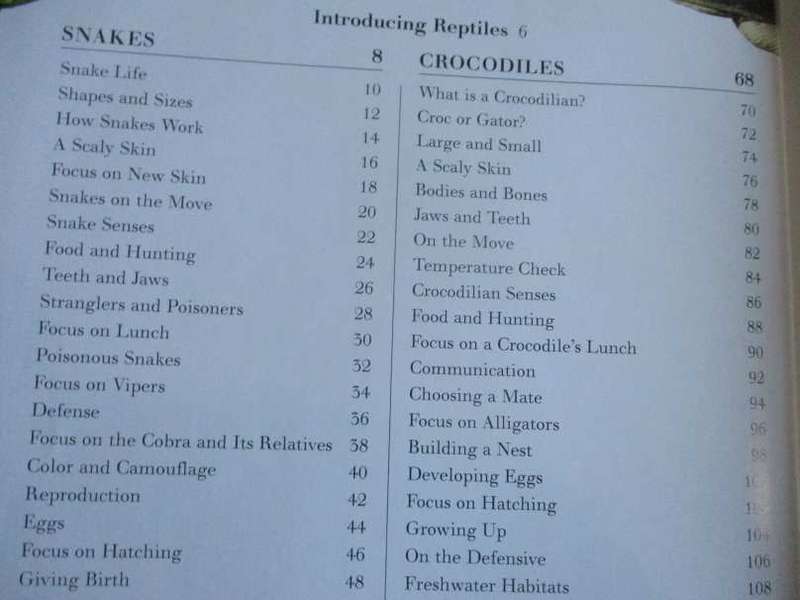 THE GREAT BIG BOOK OF SNAKES & REPTILES - BARBARA TAYLOR & MARK O`SHEA