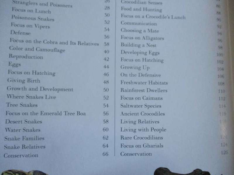 THE GREAT BIG BOOK OF SNAKES & REPTILES - BARBARA TAYLOR & MARK O`SHEA