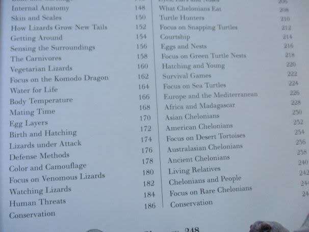 THE GREAT BIG BOOK OF SNAKES & REPTILES - BARBARA TAYLOR & MARK O`SHEA