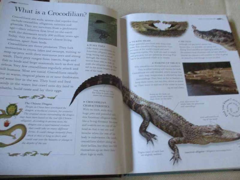 THE GREAT BIG BOOK OF SNAKES & REPTILES - BARBARA TAYLOR & MARK O`SHEA
