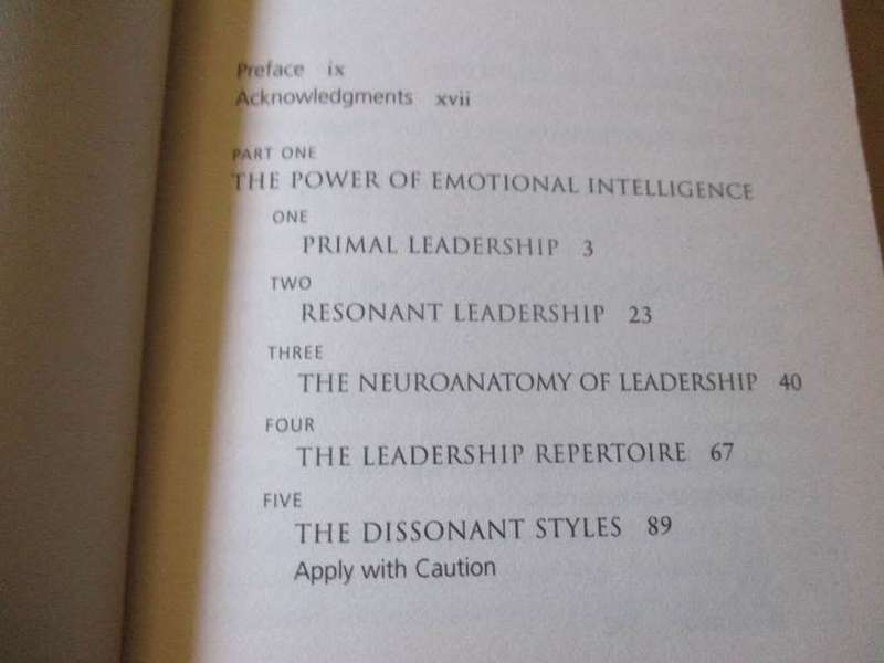 THE NEW LEADERS - TRANSFORMING THE ART OF LEADERSHIP INTO THE SCIENCE OF RESULTS - DANIE GOLEMAN