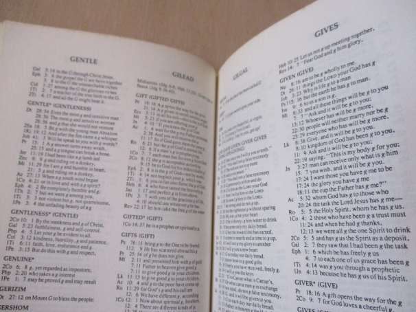 THE NIV HANDY CONCORDANCE - EDWARD W GOODRICK