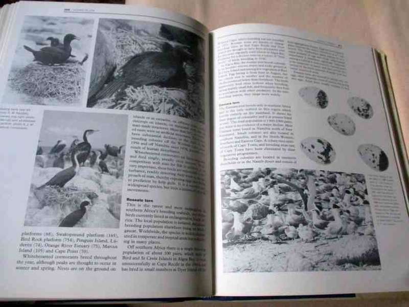 OCEANS OF LIFE OFF SOUTHERN AFRICA - ANDREW I.L. PAYNE AND J.M. CRAWFORD
