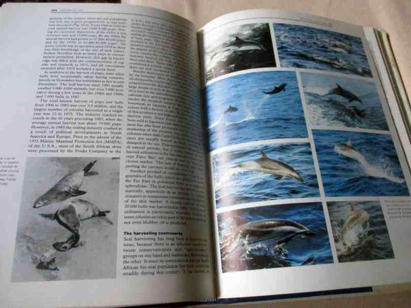 OCEANS OF LIFE OFF SOUTHERN AFRICA - ANDREW I.L. PAYNE AND J.M. CRAWFORD