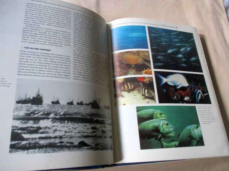 OCEANS OF LIFE OFF SOUTHERN AFRICA - ANDREW I.L. PAYNE AND J.M. CRAWFORD