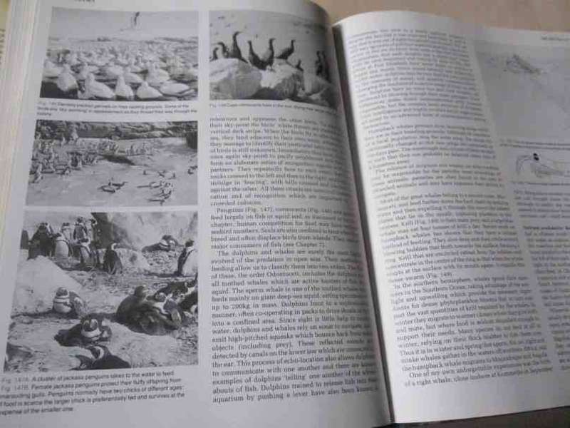 THE LIVING SHORES OF SOUTHERN AFRICA - MARGO & GEORGE BRANCH & ANTHONY BANNISTER