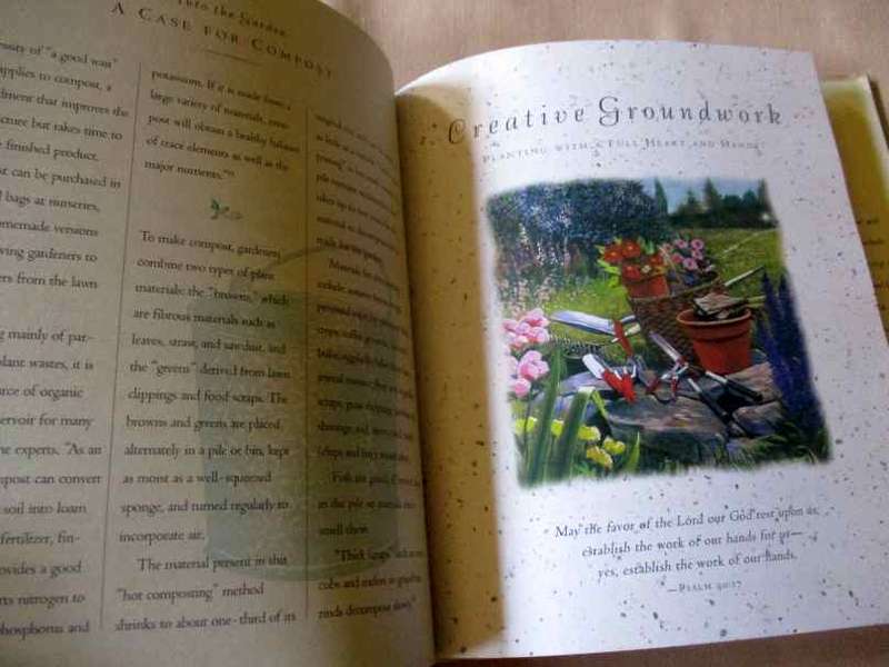 A GARDEN`S PROMISE - SPIRITUAL REFLECTIONS ON GROWING FROM THE HEART - JUDITH COUCHMAN