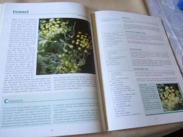 COOKING WITH HERBS & FLOWERS - THE MARGARET ROBERTS SELECTION - WOOLWORTHS