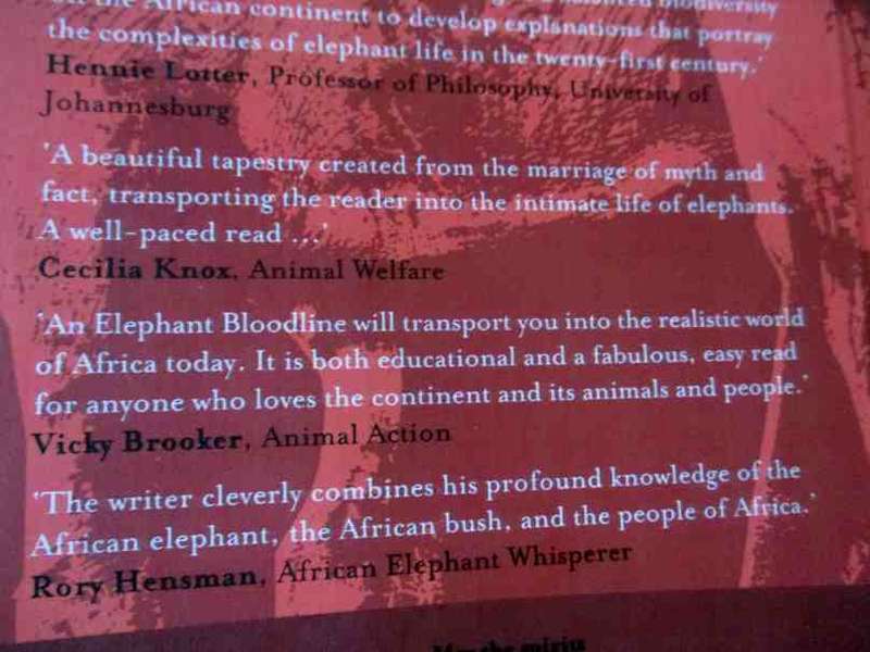 AN ELEPHANT BLOODLINE - HOWARD BLIGHT