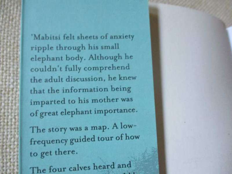 AN ELEPHANT BLOODLINE - HOWARD BLIGHT