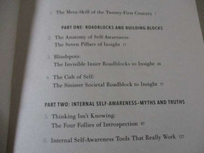 INSIGHT - HOW TO SUCCEED BY SEEING YOURSELF CLEARLY - FOR ANYONE SEEKING TO LIVE HAPPIER, MORE ...