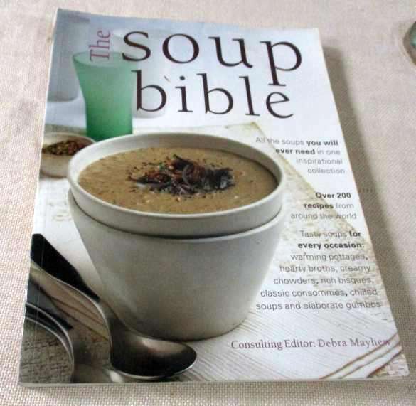 THE SOUP BIBLE - DEBRA MAYHEW