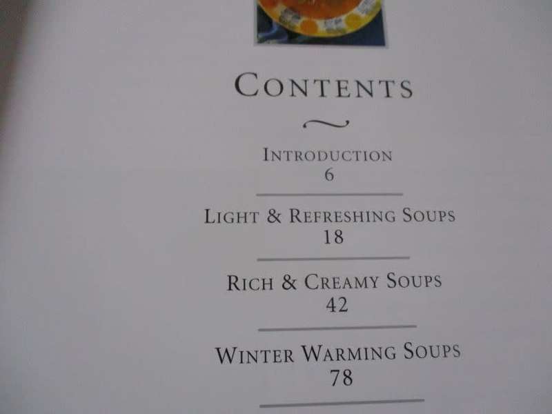 THE SOUP BIBLE - DEBRA MAYHEW