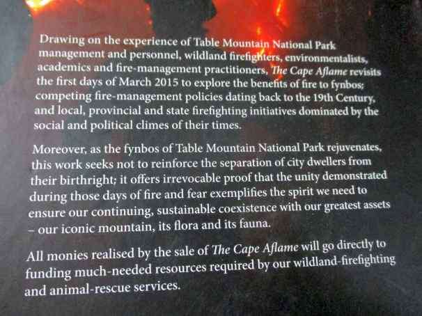 THE CAPE AFLAME - CAPE TOWN'S DANCE WITH FIRE
