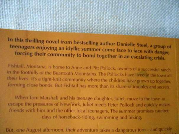 THE CHALLENGE - DANIELLE STEEL