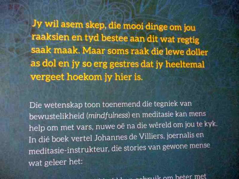 KALMTE IN DIE MALLE GEJAAG - MINDFULNESS VIR BESIGE MENSE - JOHANNES DE VILLIERS