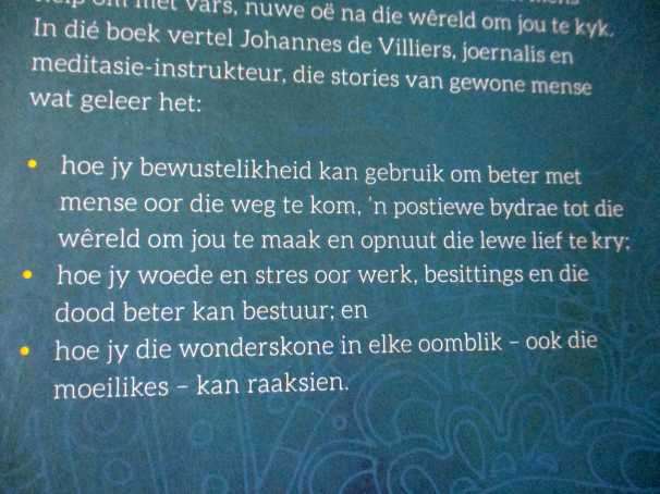KALMTE IN DIE MALLE GEJAAG - MINDFULNESS VIR BESIGE MENSE - JOHANNES DE VILLIERS