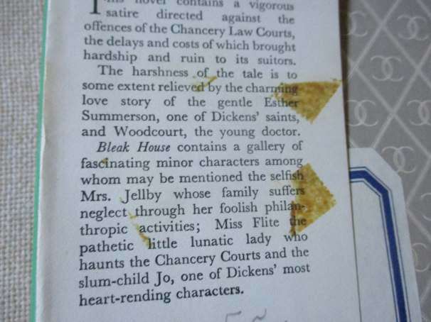 BLEAK HOUSE - CHARLES DICKENS