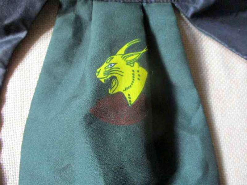 Regiment Pretorius ( Hercules Commando ) Cravat
