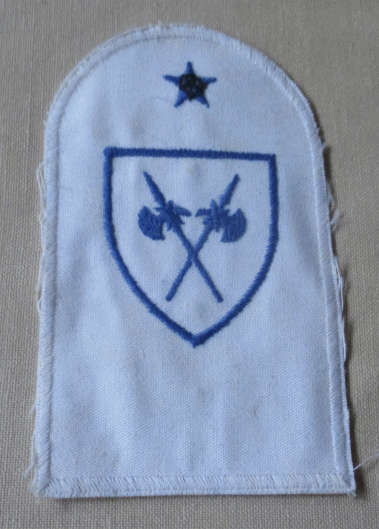 S.A. NAVY BADGE PROTECTION SERVICES BADGE