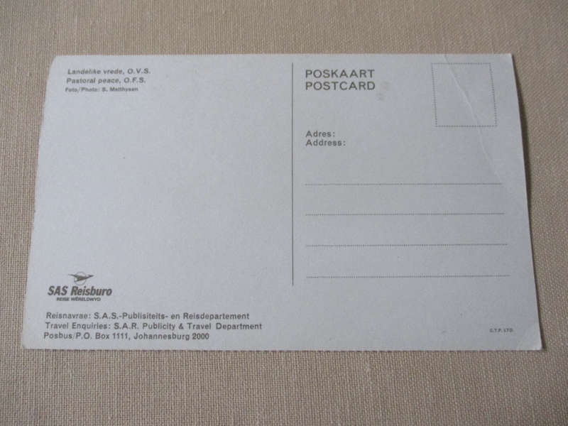 PASTORAL PEACE, OFS   - POST CARD ( vintage south african post card )