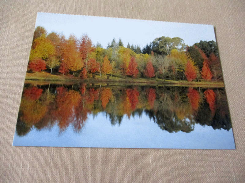 KENMO LAKE NEAR HIMEVILLE   - POST CARD