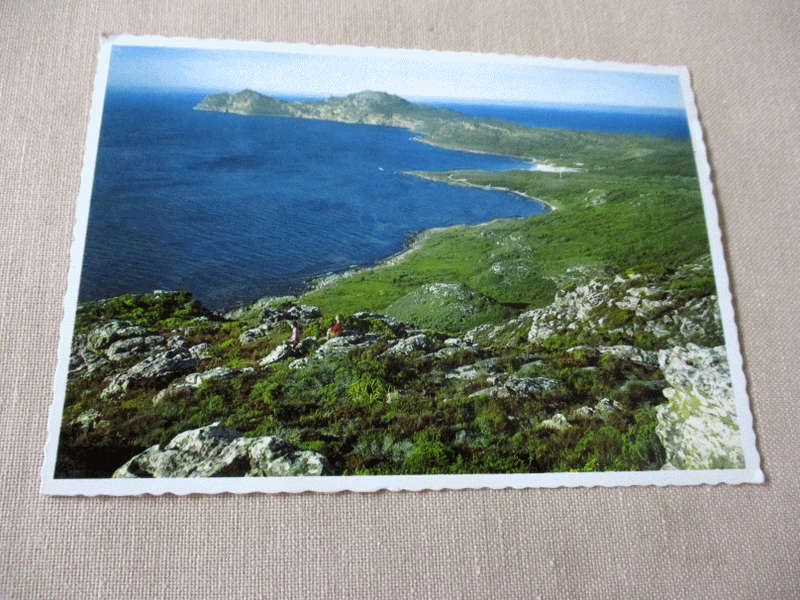 CAPE POINT   - VINTAGE SOUTH AFRICAN POST CARD