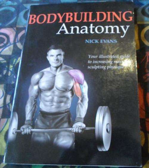 BODYBUILDING ANATOMY - NICK EVANS