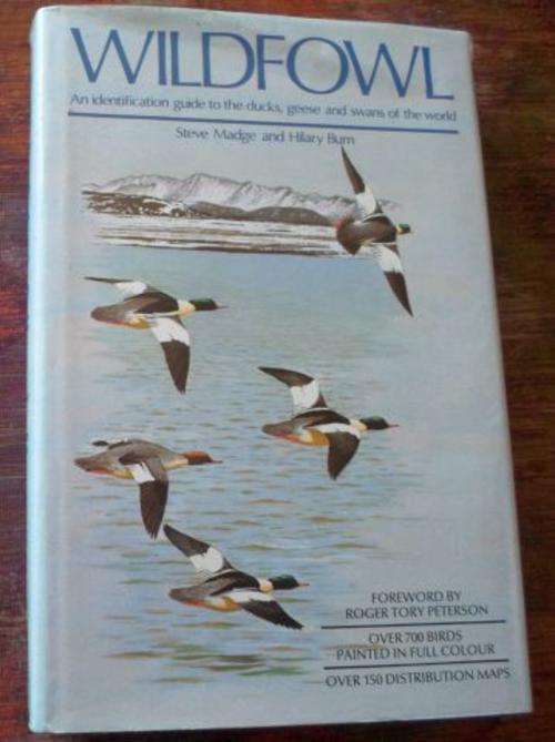 WILDFOWL - AN IDENTIFICATION GUIDE TO THE DUCKS , GEESE AND SWANS OF THE WORLD - STEVE MADGE