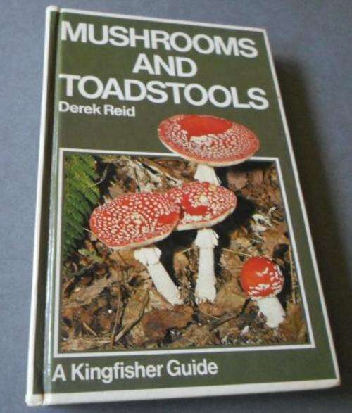 MUSHROOMS AND TOADSTOOLS - DEREK REID