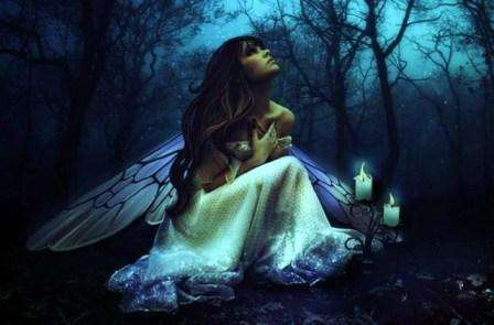 Blue Raven Tarot Readings