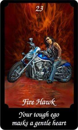 Fire Hawk