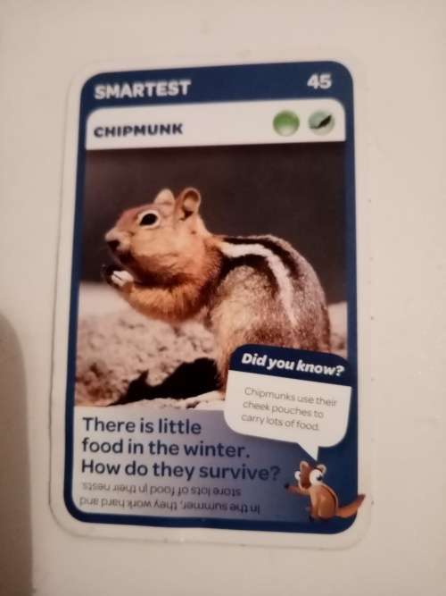Pick n Pay Super Animals 45