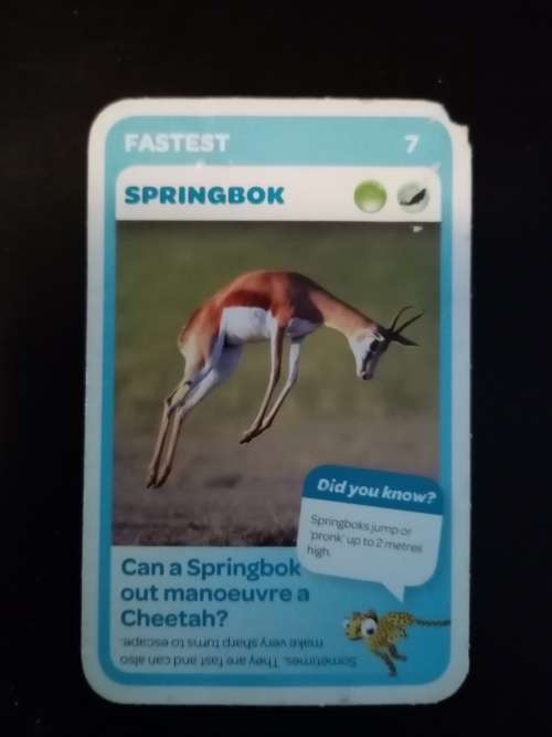 Pick n Pay Super Animals 7