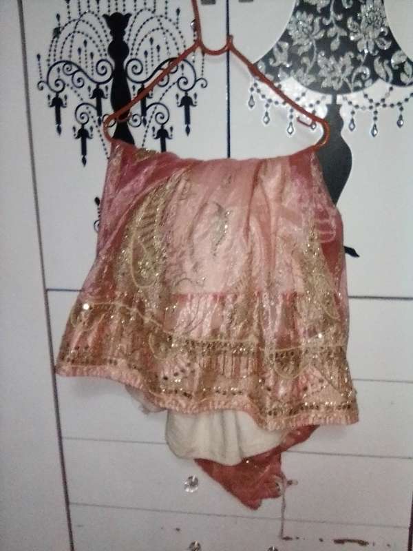 Stunning light pink lined and netted Indian outfit