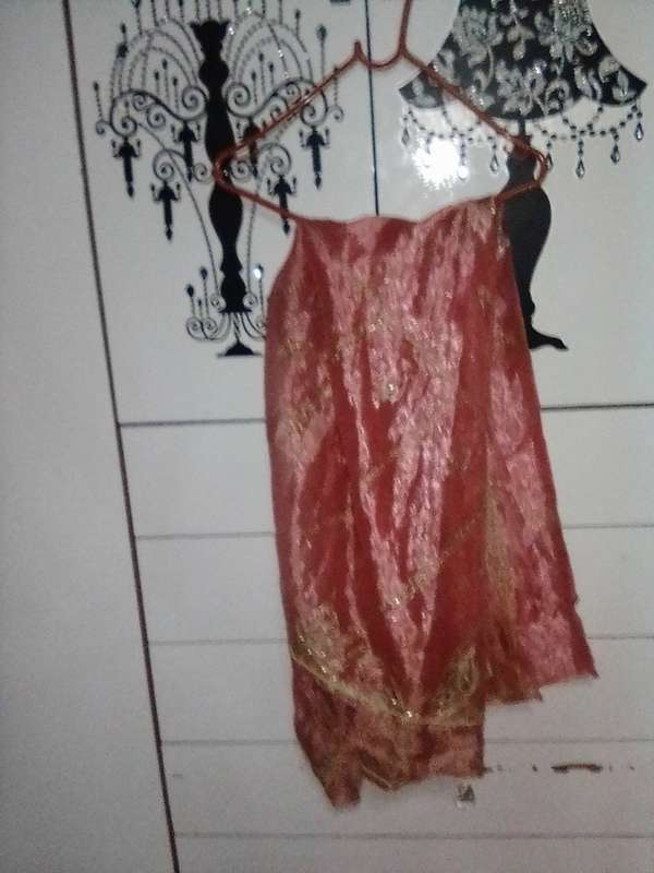 Stunning light pink lined and netted Indian outfit