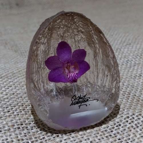 Real Orchid Embedded in Lucite (Malaysia)