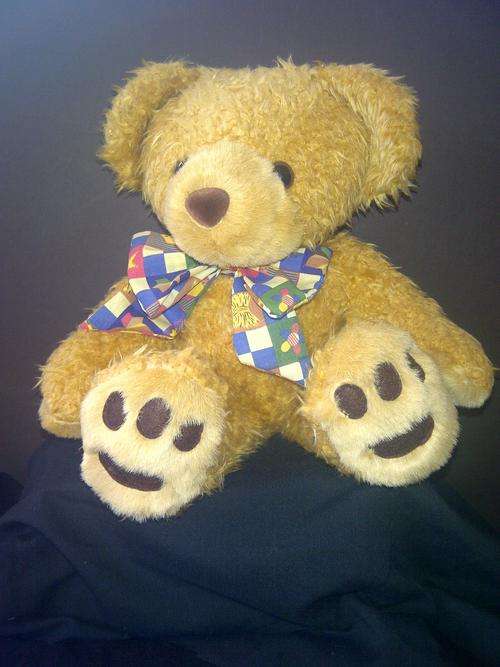 Collectible Bear named "Joe Junior"