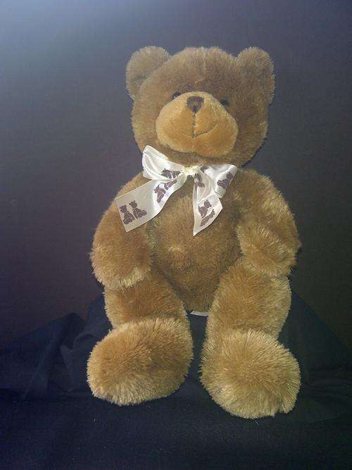 Super-soft, Cuddly Brown Bear