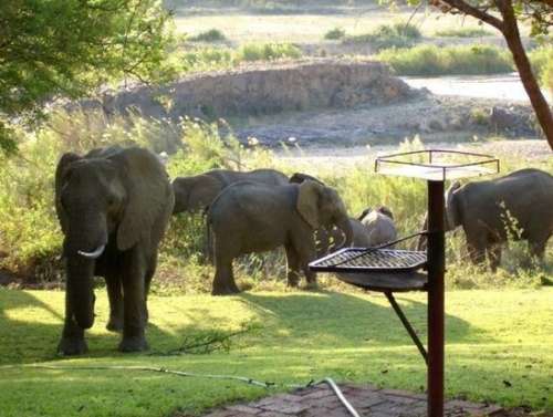 1 Week Self Catering Accommodation at Ngwenya Lodge - 10km from Kruger Park (18-25 Nov)