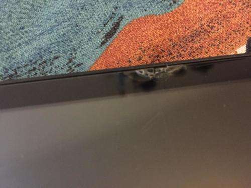 Vodacom 10.1 Tablet + Extras (Please Read Description)