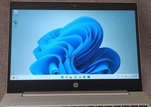 HP ProBook 440 G7, 10th Gen Intel i5-10210U@1.6GHz, 16GB RAM, 500GB HDD, 14` FHD Display, Windows 11
