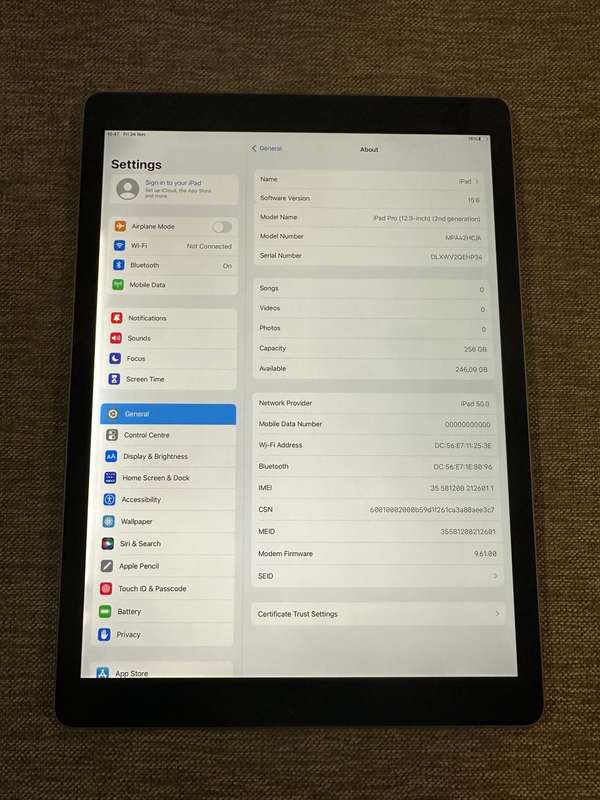 IPAD PRO 12.9 INCH 2ND GEN 256GB WIFI AND CELLULAR